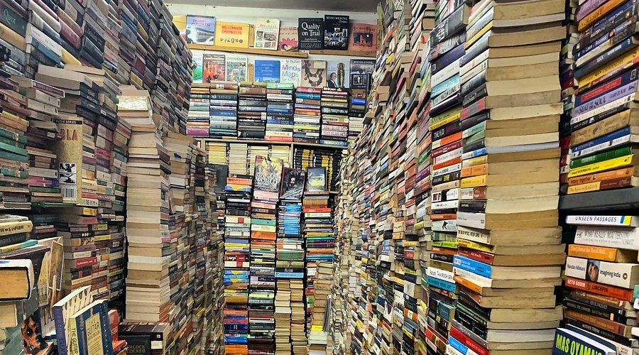 Escaping Reality: Why Books Are the Ultimate Best Friend