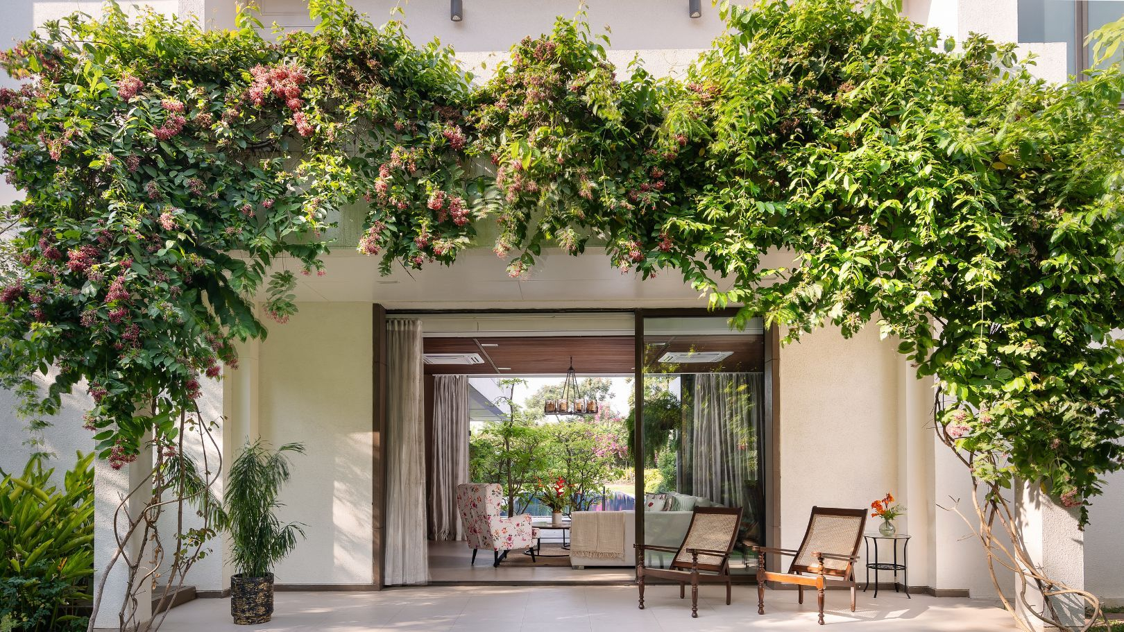 Few Flowering Creepers That Make Beautiful Natural Curtains
