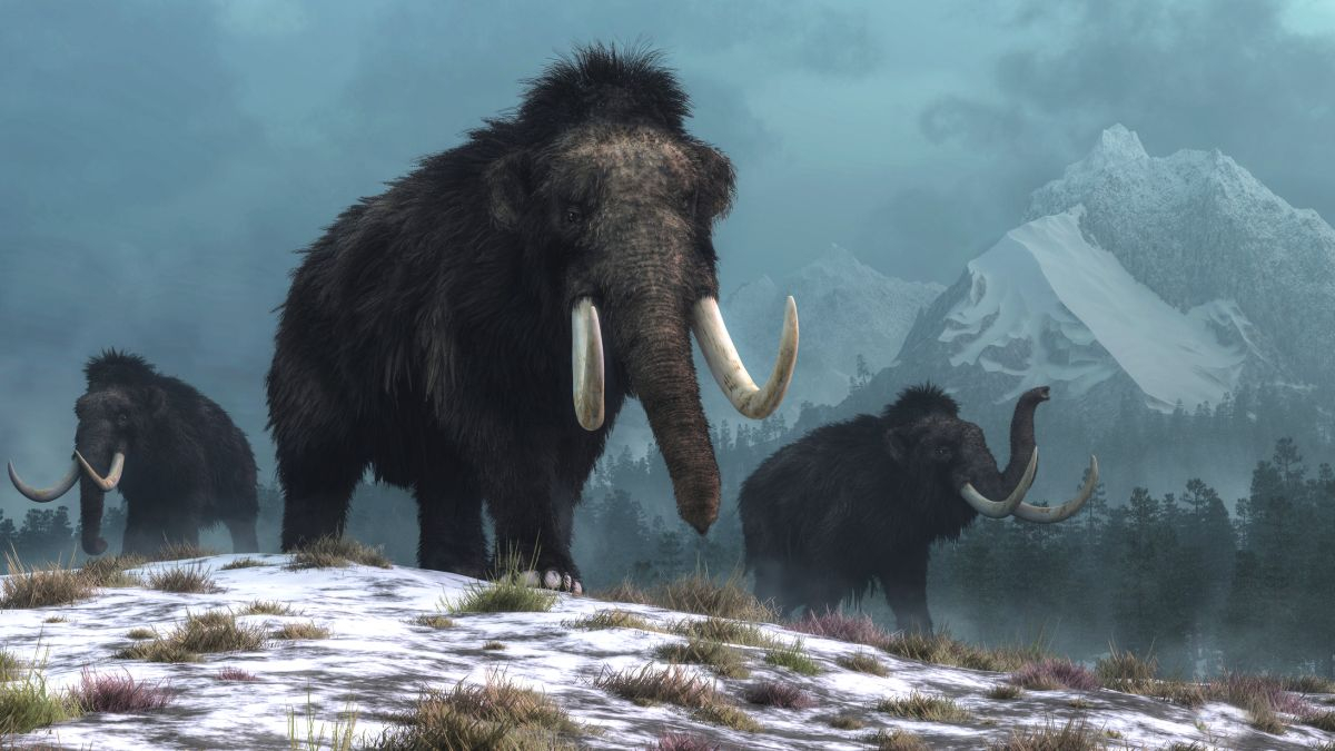 40,000 Year-Old Woolly Mammoth RNA Discovery Rewrites Extinction Science