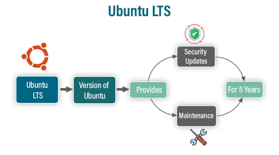 Understanding LTS in Software: Who Should Use It and Why
